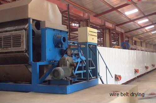 Egg cartons production line